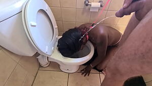 Desi whore gets walked like a dog to the toilet to get her face pissed on and sucks cock